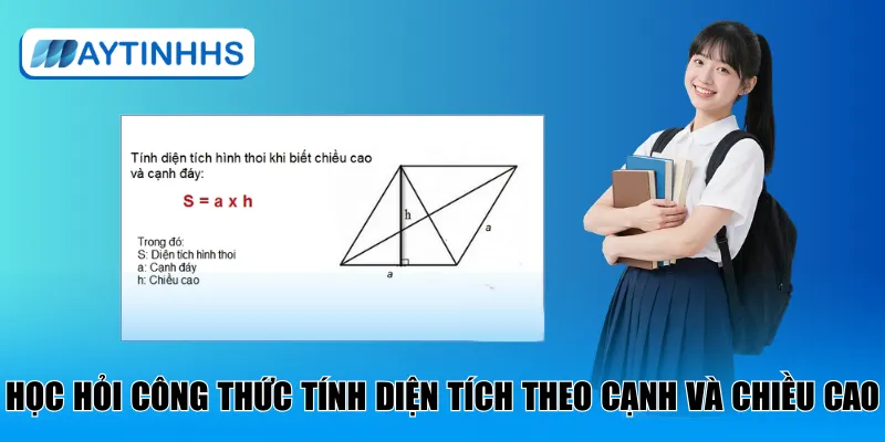 Học hỏi công thức tính diện tích theo cạnh và chiều cao